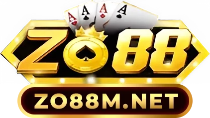 tzk.cn.com